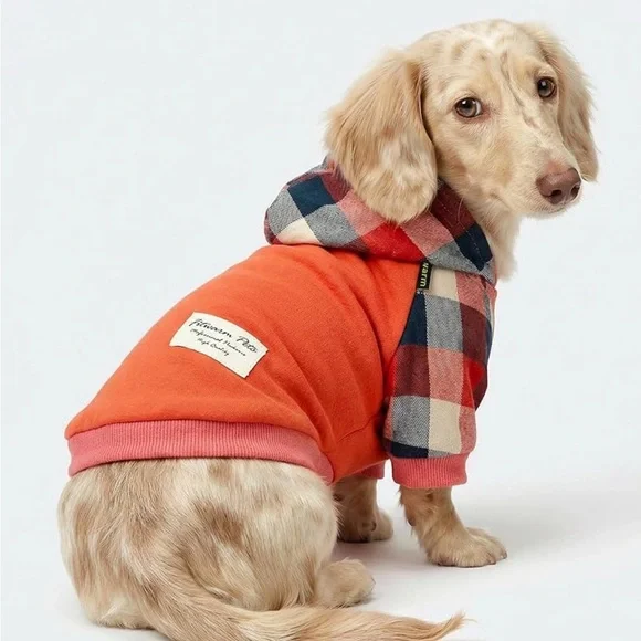 𝓕𝓲𝓣𝔀𝓪𝓻𝓶 𝓟𝓮𝓣𝓼 𝓞𝓻𝓪𝓷𝓰𝓮 𝓟𝓛𝓪𝓲𝓭 𝓓𝓸𝓰 𝓗𝓸𝓸𝓭𝓲𝓮 - Picture 2 of 4